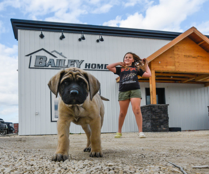 A day in the life of Bailey Homes yard dog Big Earl last week… growing into the job with Emma's help!